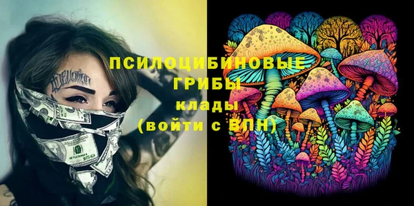 гашик Балабаново