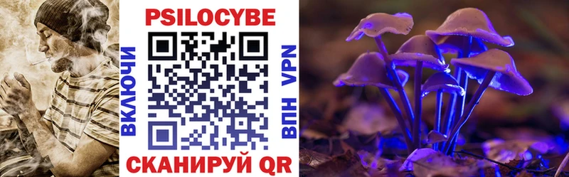 Галлюциногенные грибы GOLDEN TEACHER  Купить закладки  Алейск 